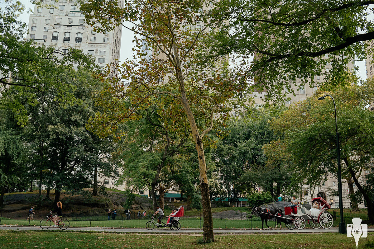 Casamento no Central Park - Noiva em NY